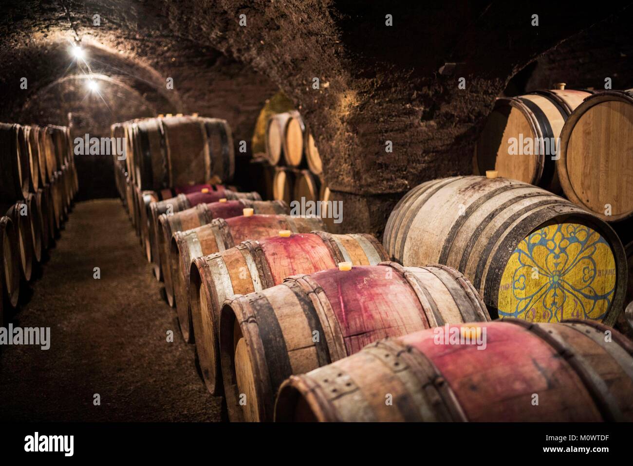 France,Cote d'Or,Savigny-les-Beaune,Climats,terroirs of Burgundy listed on the Word Heritage by UNESCO,Cote de Beaune and the Hautes Cotes de Beaune,domain of Chandon de Briailles Stock Photo