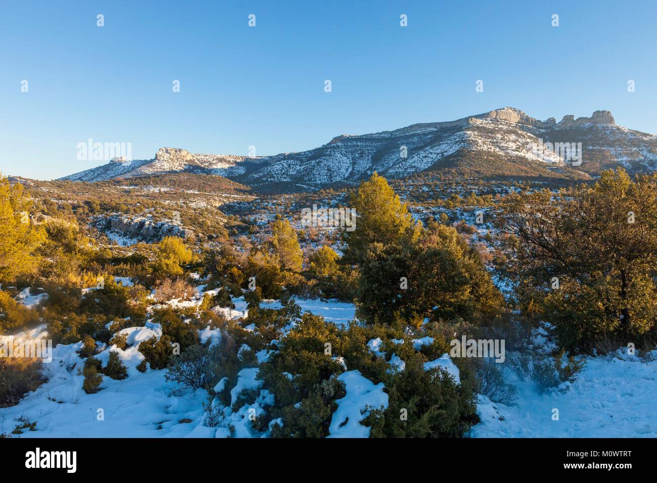 France,Var,Green Provence,Massif of Sainte Baume,national forest of La