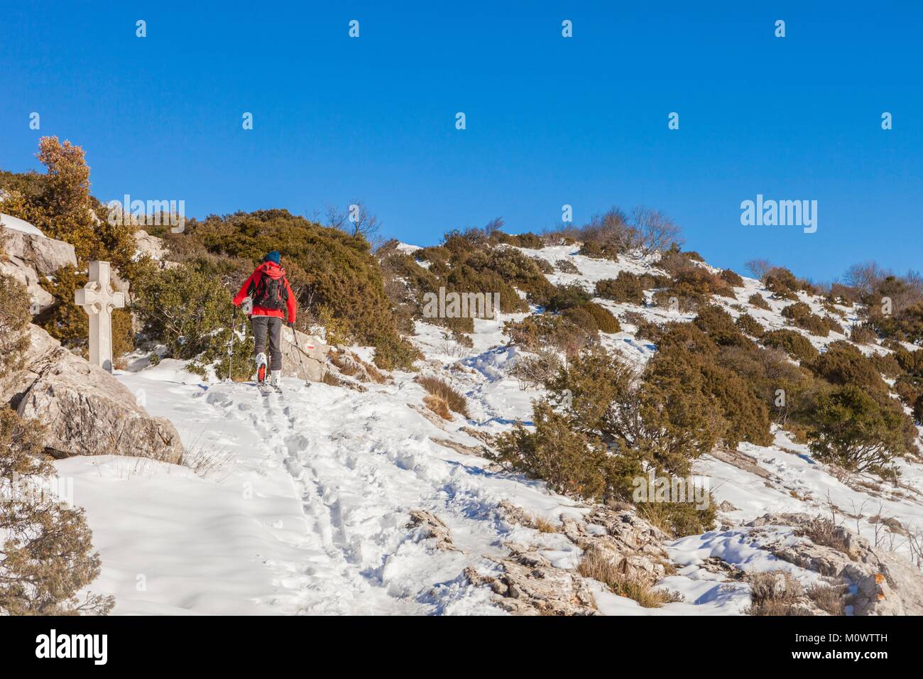 France,Var,Green Provence,Massif of Sainte Baume,national forest of La