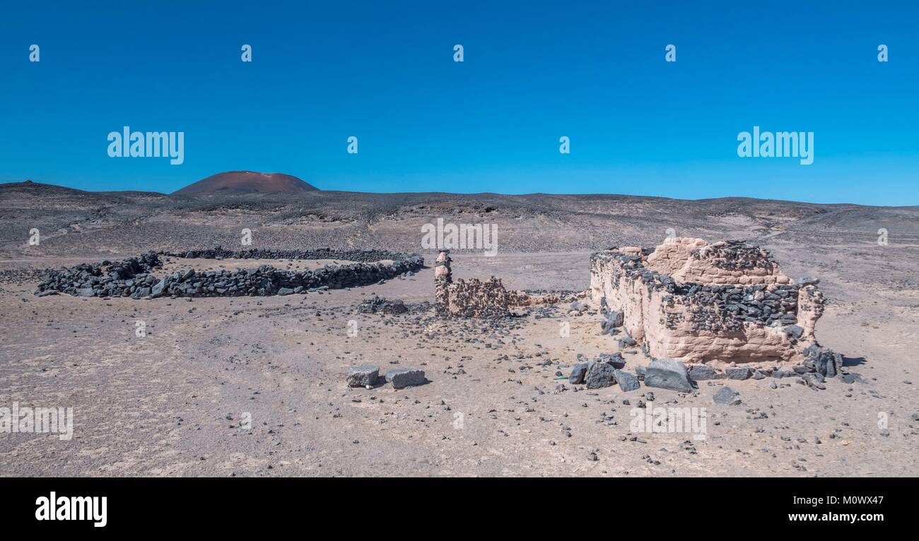 Argentine,Catamarca province,Puna desert,El Penon,Carachi Pampa volcano Stock Photo