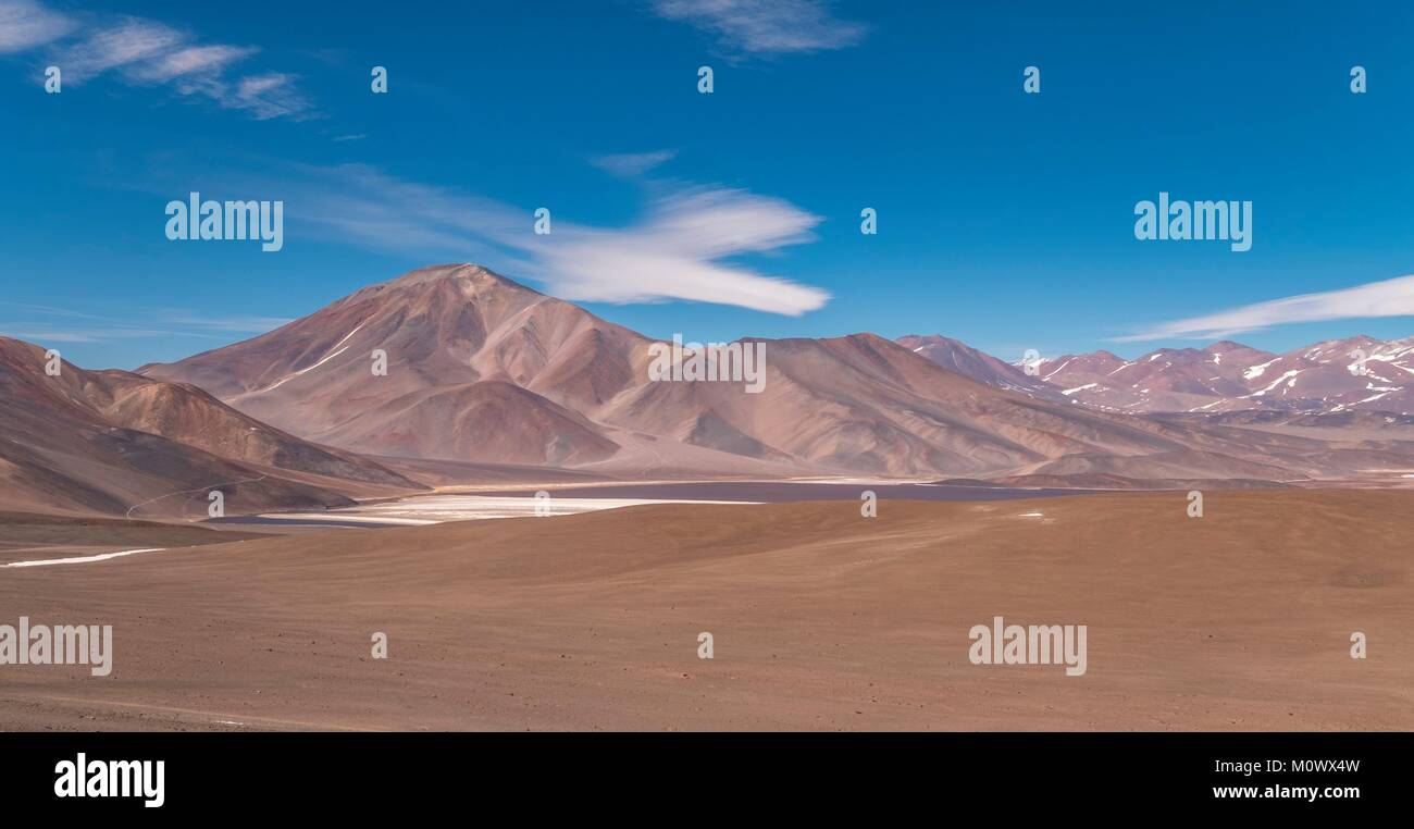 Argentine,Catamarca province,Puna desert,Laguna Negra,Chaschuil valley,route 60 betwen Fiambala and Chile border Stock Photo
