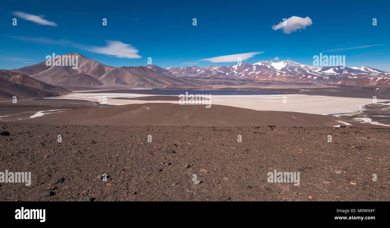 Argentine,Catamarca province,Puna desert,Laguna Negra and Pissis volcano in the background,Chaschuil valley,route 60 betwen Fiambala and Chile border Stock Photo