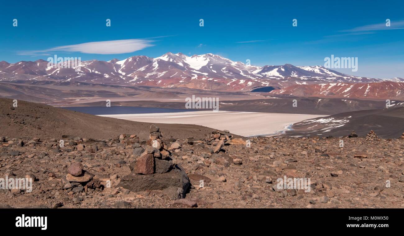 Argentine,Catamarca province,Puna desert,Laguna Negra and Pissis volcano in the background,Chaschuil valley,route 60 betwen Fiambala and Chile border Stock Photo