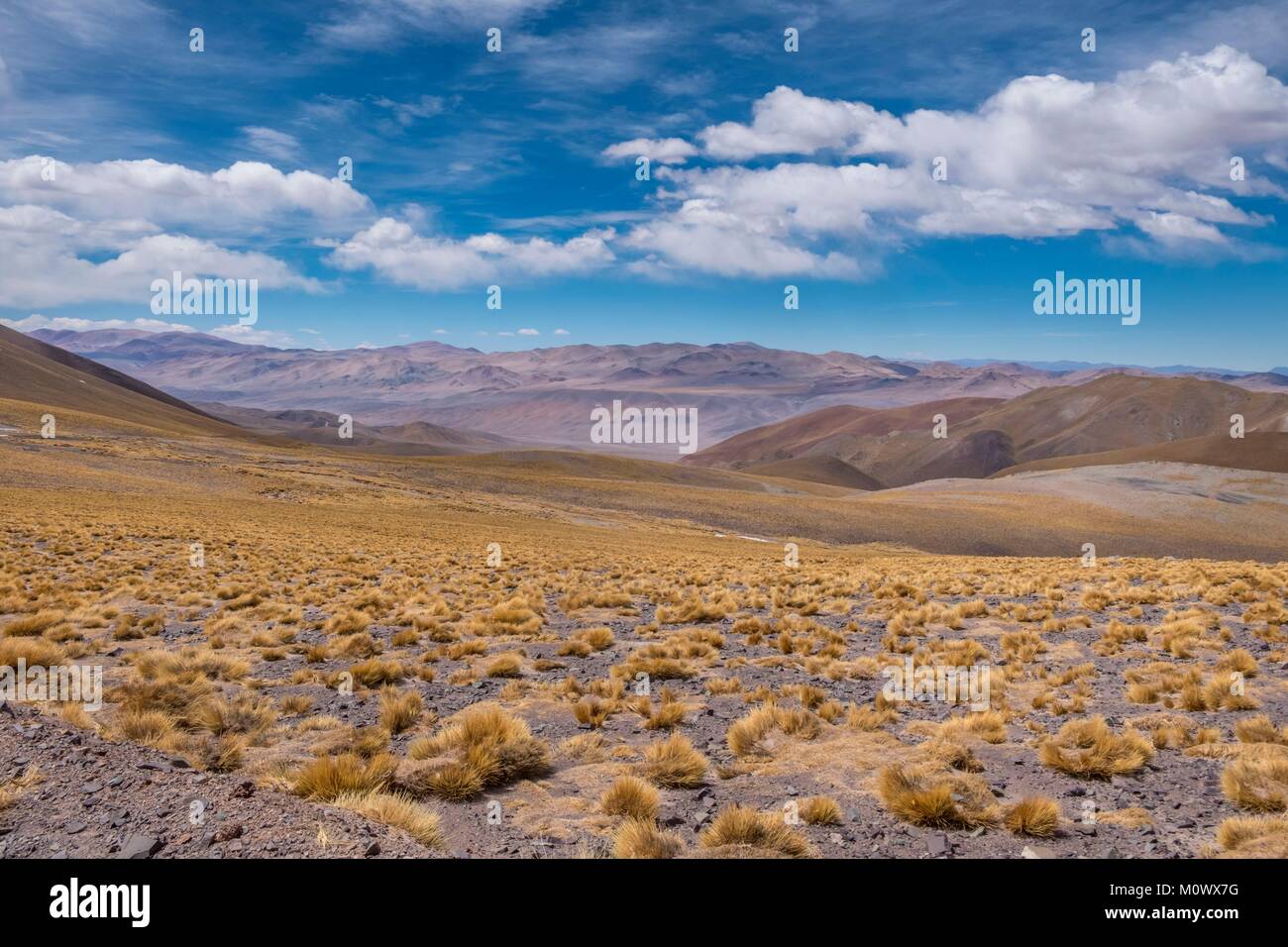 Argentine,Catamarca province,Puna desert,Chaschuil valley,route 60 betwen Fiambala and Chile border Stock Photo