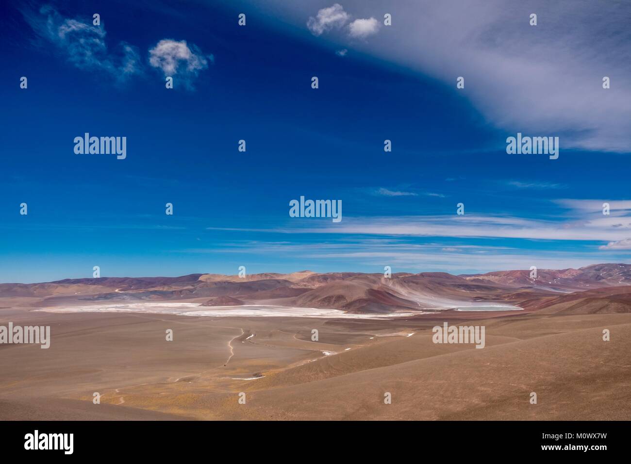 Argentine,Catamarca province,Puna desert,Chaschuil valley,route 60 betwen Fiambala and Chile border Stock Photo