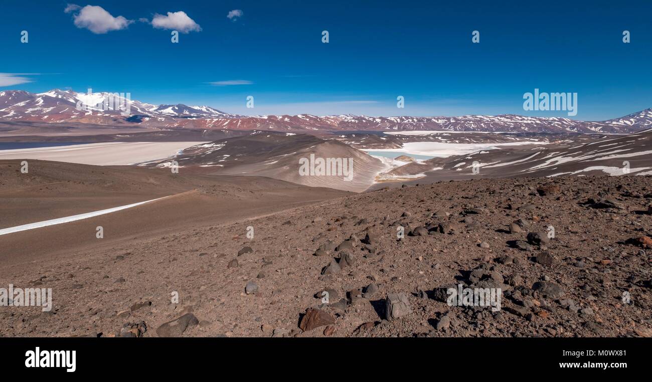 Argentine,Catamarca province,Puna desert,Laguna Verde and laguna Negra,Pissis volcano in the background,Chaschuil valley,route 60 betwen Fiambala and Chile border Stock Photo