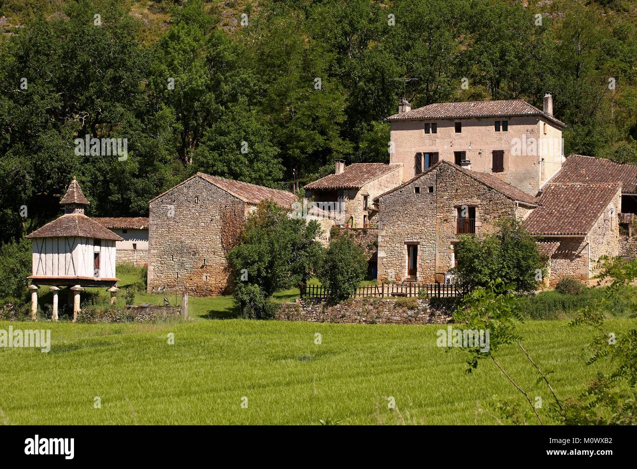 France,Tarn et Garonne,Gorges of Aveyron,road Bruniquel to St Antonin by Penne,Rural habitat flanked by a dovecote Stock Photo