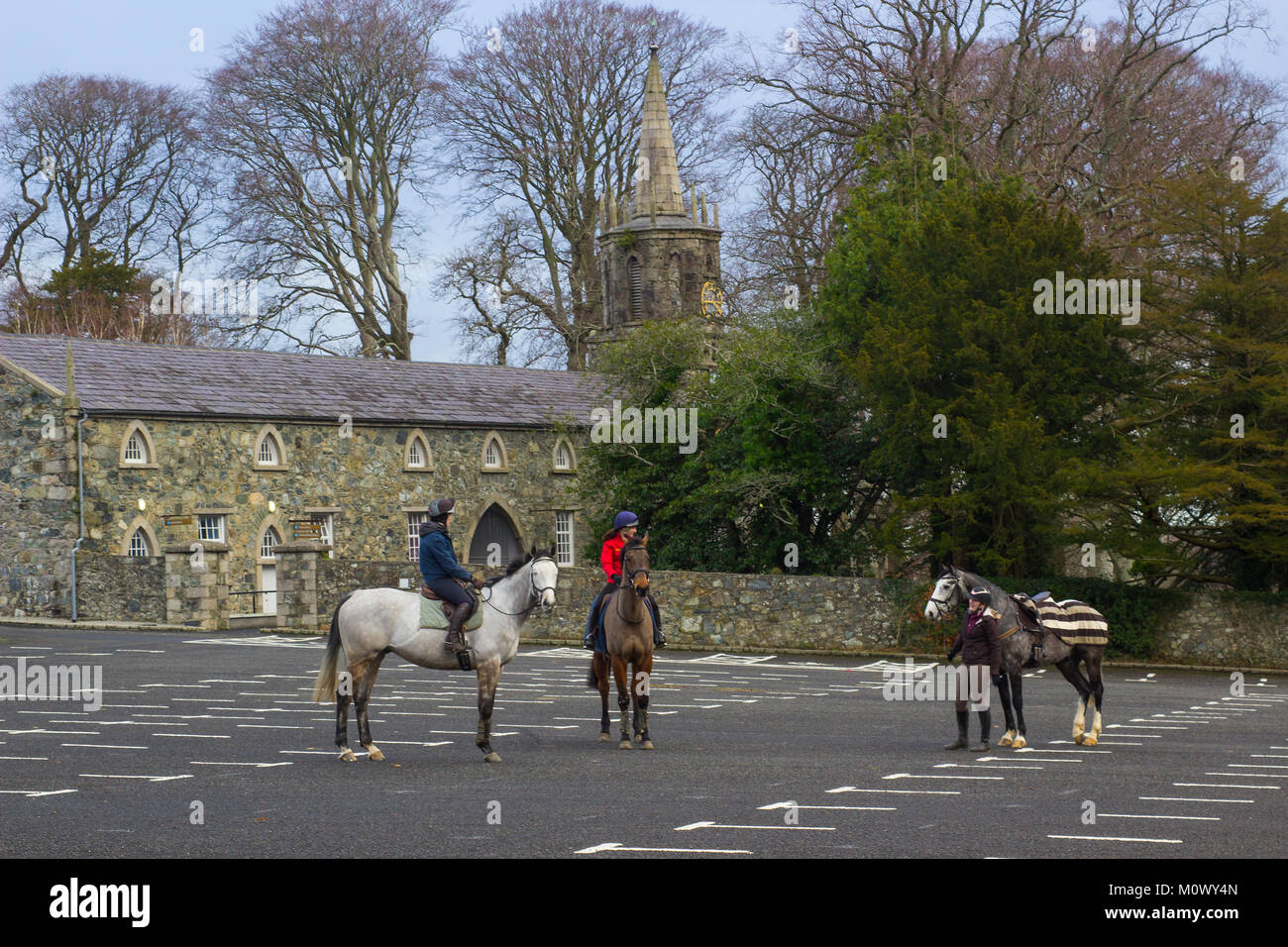 Horses resting after a long trek  inTollymore Forest Park in in County Down Northern Ireland while their owners chat together before going their way Stock Photo
