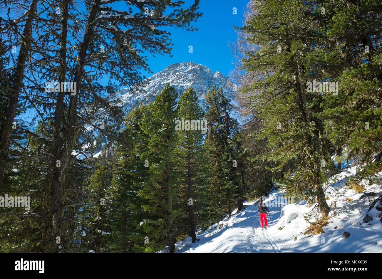 Switzerland,Graubunden,Bergun,ski touring in the Parc Ela at the foot of Piz Ela (3368 m) Stock Photo