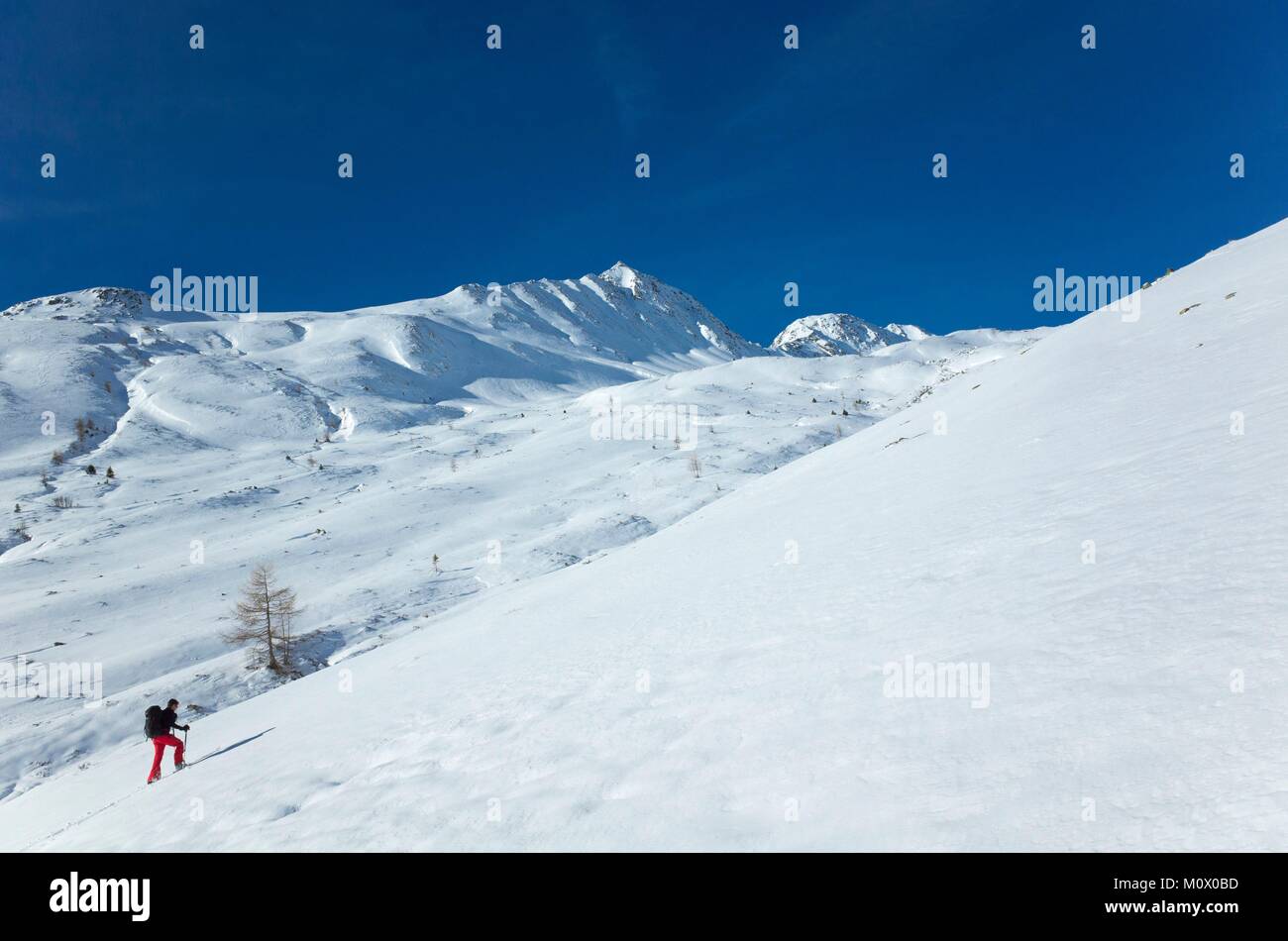 Switzerland,Graubunden,Davos,ski touring on the season's first snow on Schwarzhorn (2768 m) Stock Photo