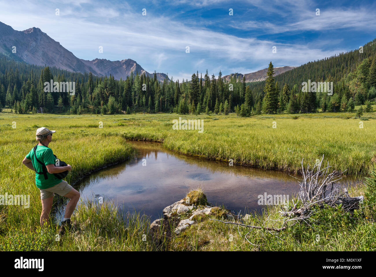 Middle aged hiker in Brewer Creek Valley, Purcell Mountains, Kootenay Rockies, near Invermere, East Kootenay Region, British Columbia, Canada Stock Photo