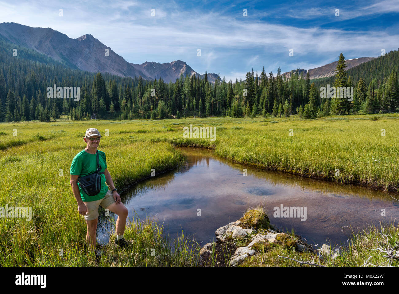 Middle aged hiker in Brewer Creek Valley, Purcell Mountains, Kootenay Rockies, near Invermere, East Kootenay Region, British Columbia, Canada Stock Photo