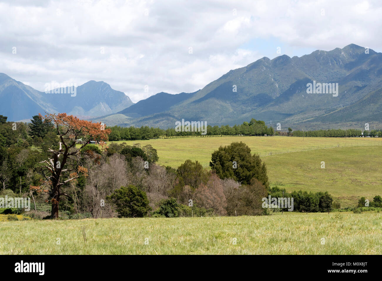 Arable land. Western Cape South Africa. Circa 2017. Rolling