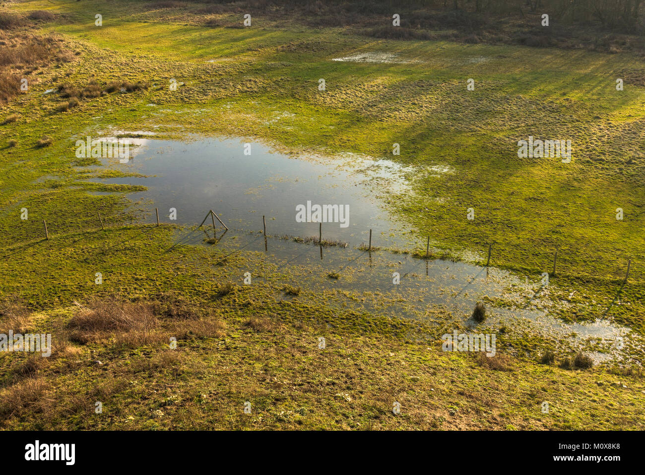 Floodplain, floodplains, Meadow field under water, flooded RivierPark Maasvallei,, ponds at The Meuse, Limburg, Belgium. Stock Photo