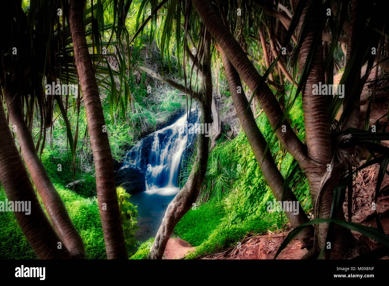 Discover Bath Beach Falls: A Serene Coastal Paradise