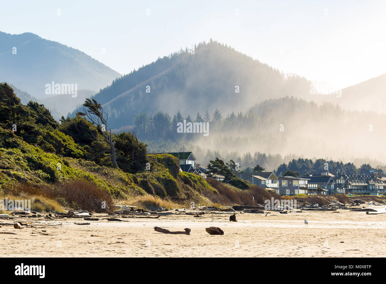 Oceanfront Vacation Homes Along Cannon Beach Oregon Coast By