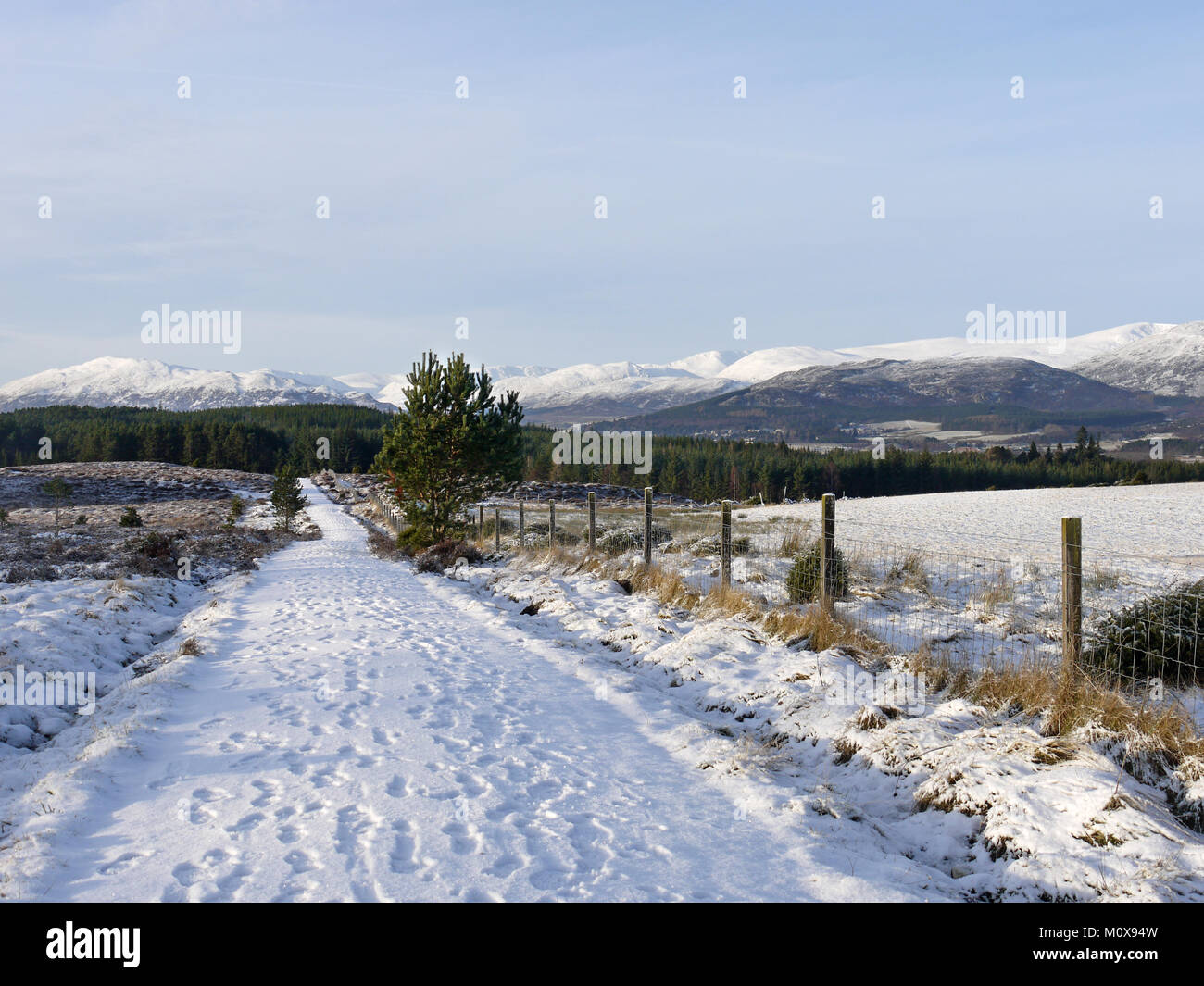 The Badenoch Way, a hiking trail from Aviemore to Insh Marshes in the highlands of Scotland, Inverness-shire.  Looking south towards the Monadhliath. Stock Photo