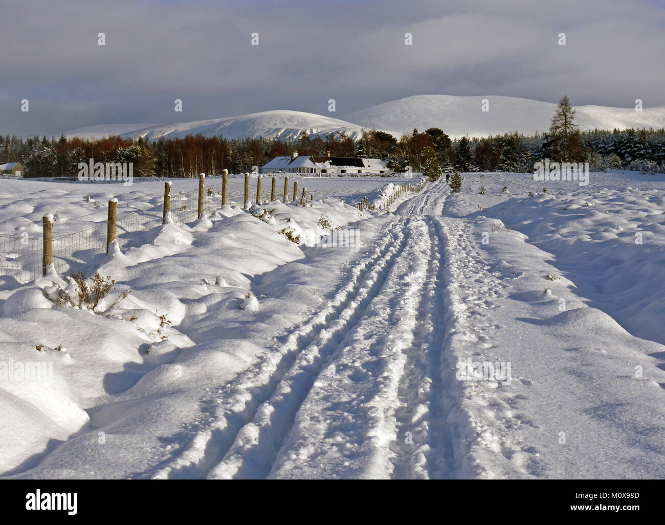 The Badenoch Way, a hiking trail from Aviemore to Insh Marshes in the highlands of Scotland, Inverness-shire.  The path as it enters Inveruglas. Stock Photo
