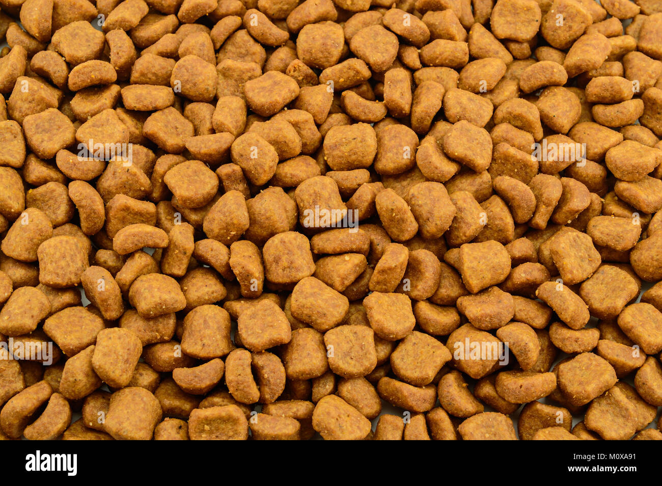 Dried cat food closeup. Background Stock Photo