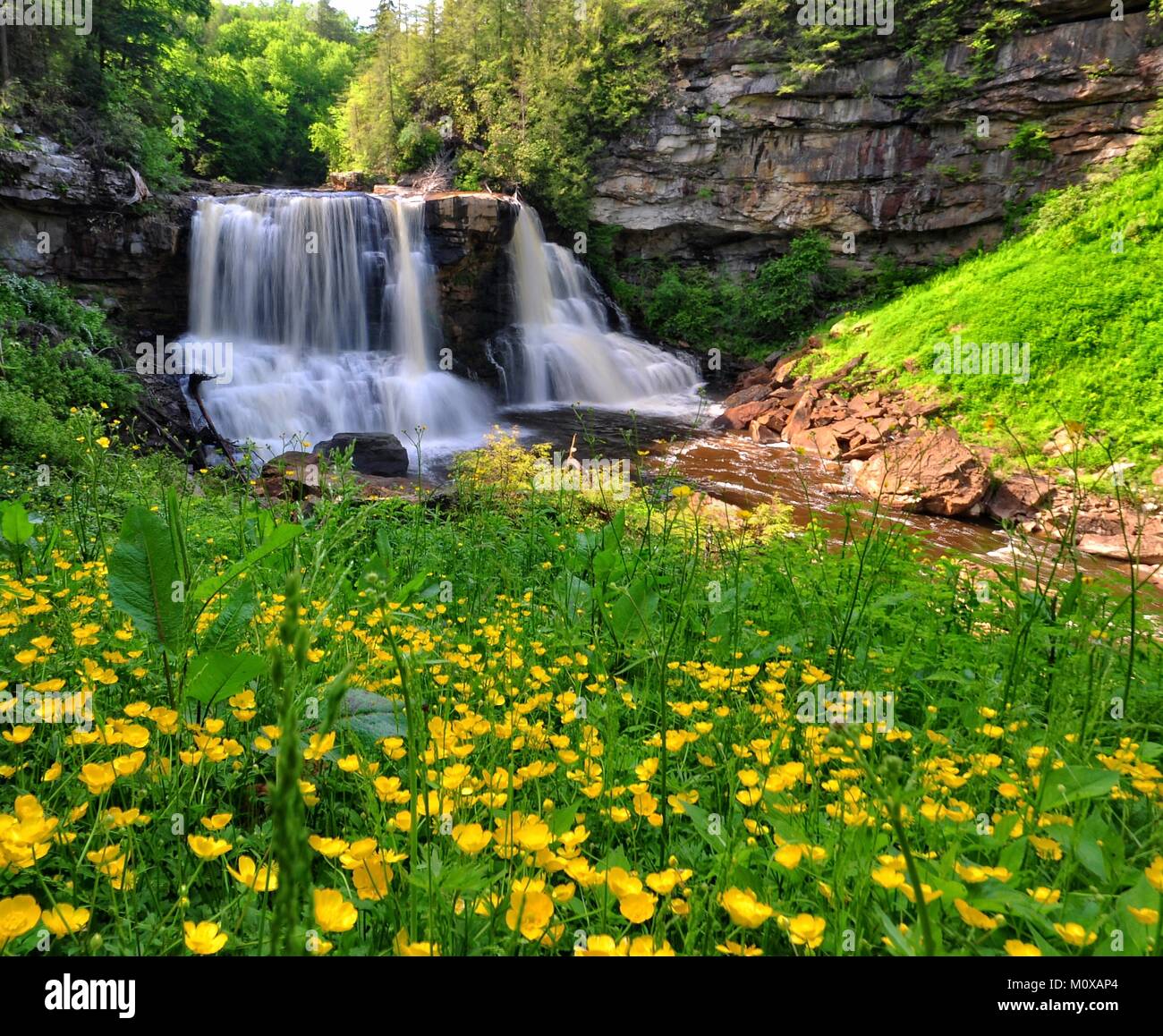 Iconic Blackwater Falls in West Virginia Stock Photo