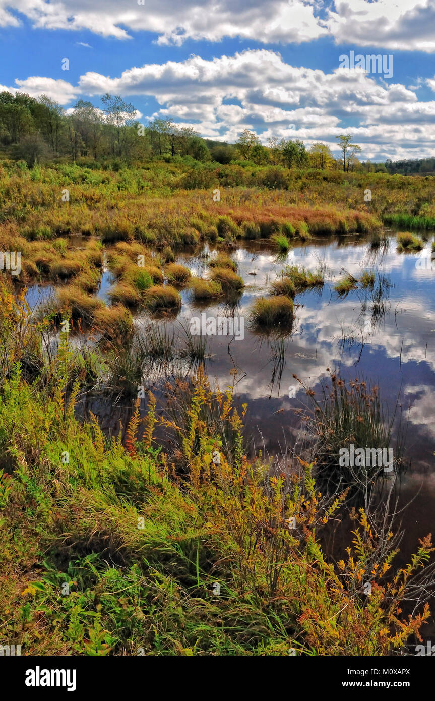 Small pond in Canaan Valley West Virginia Stock Photo