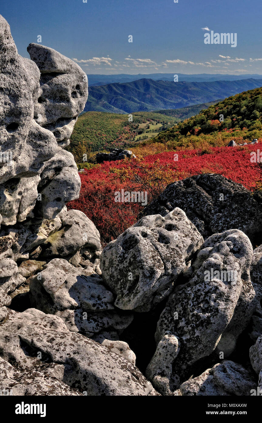 Dolly Sods Mountain Vista in fall colors West Virginia Stock Photo