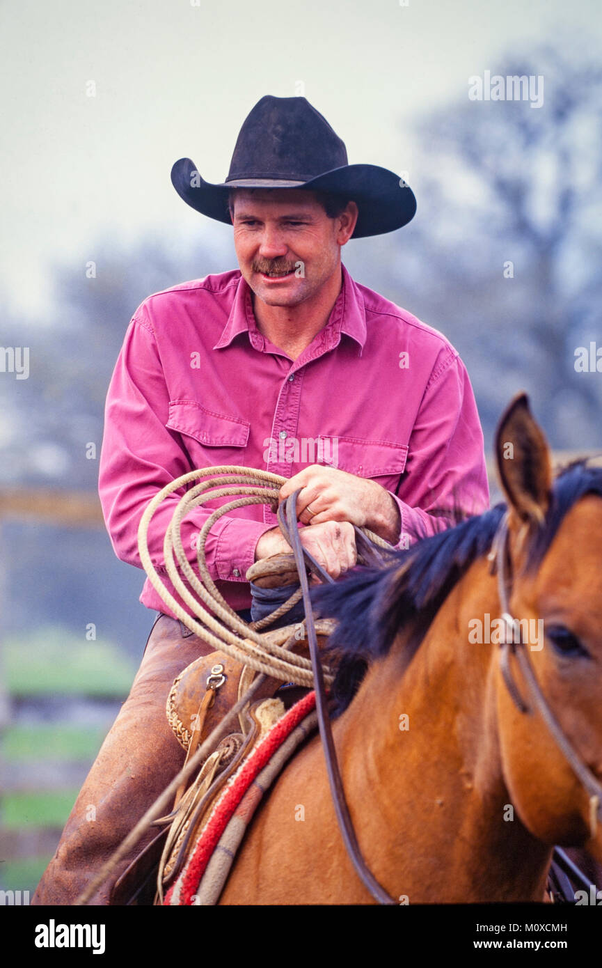 Ranch neighbors help with a cattle roundup and branding in South Dakota. Stock Photo