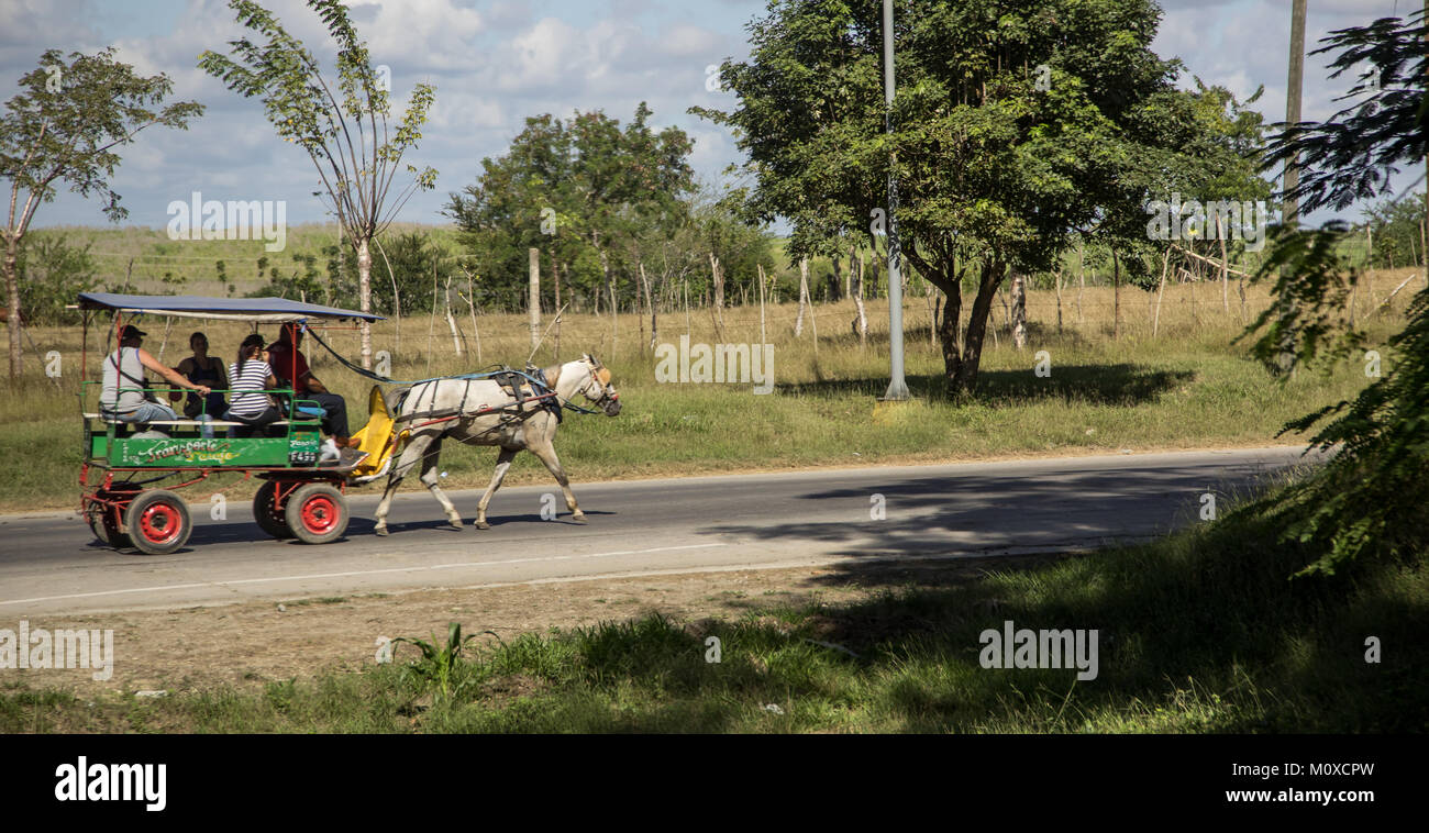 Horse drawn public transportation Stock Photo