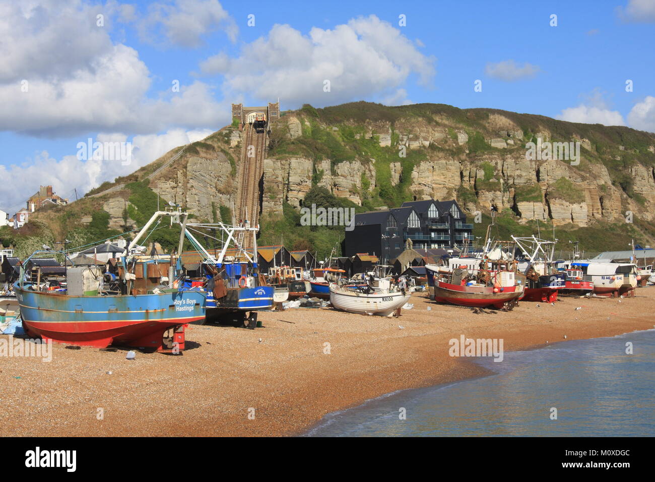 Herring Gull, Seagull, on Fishing Nets, on Hastings Old Town Stade