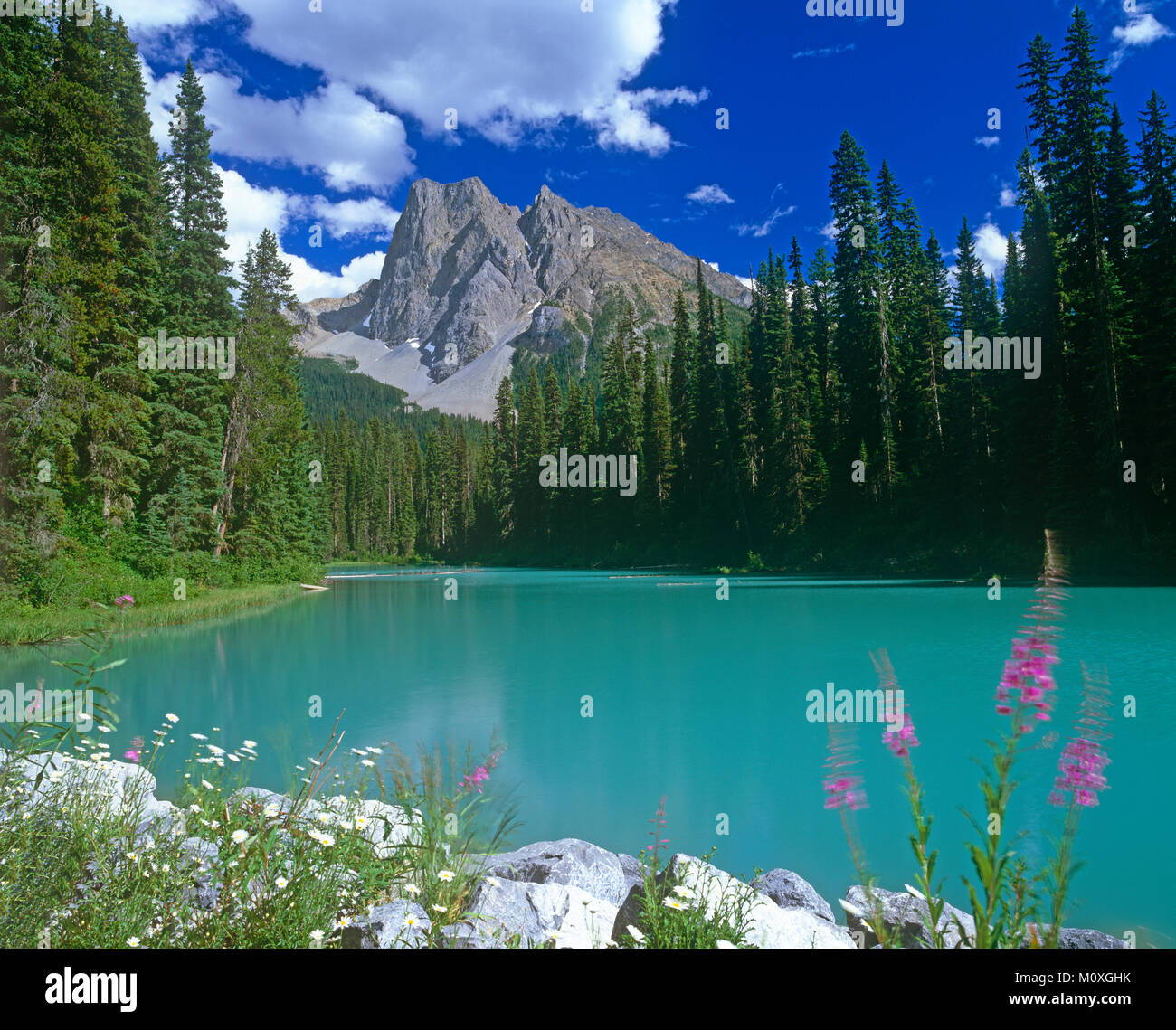 Yoyo National Park High Resolution Stock Photography and Images - Alamy