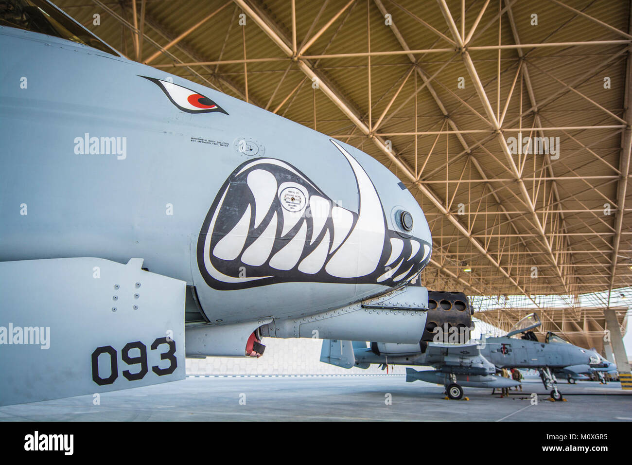 The 303rd Expeditionary Fighter Squadron landed a group of A10