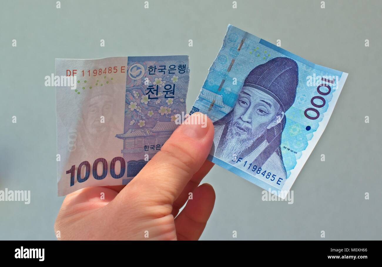 1000 Korean Won bank note ripped apart- worthless Stock Photo