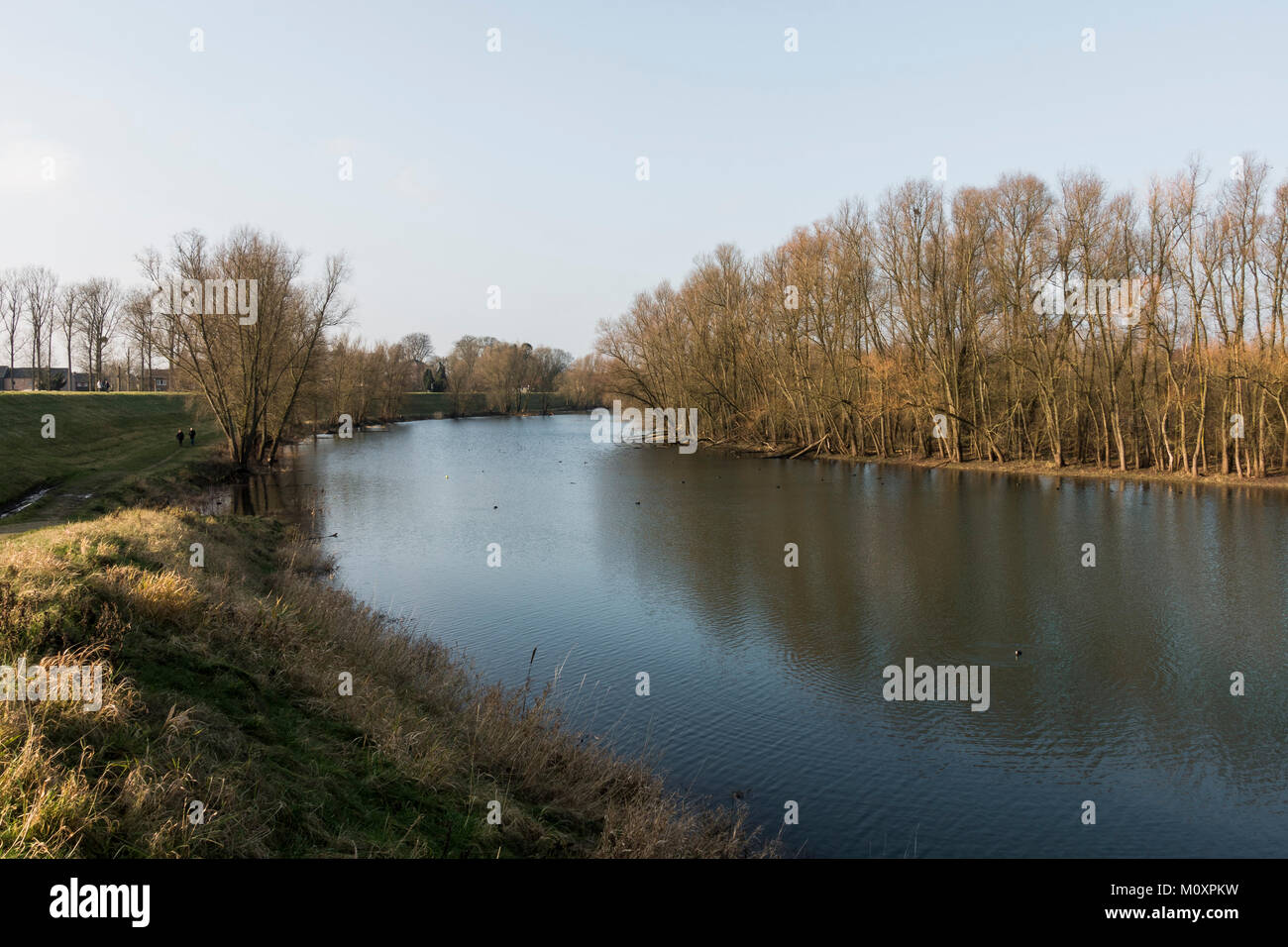 RivierPark Maasvallei, River Park Maasvallei, nature park, reserve, former gravel extraction, ponds at The Meuse, Limburg, Belgium. Stock Photo