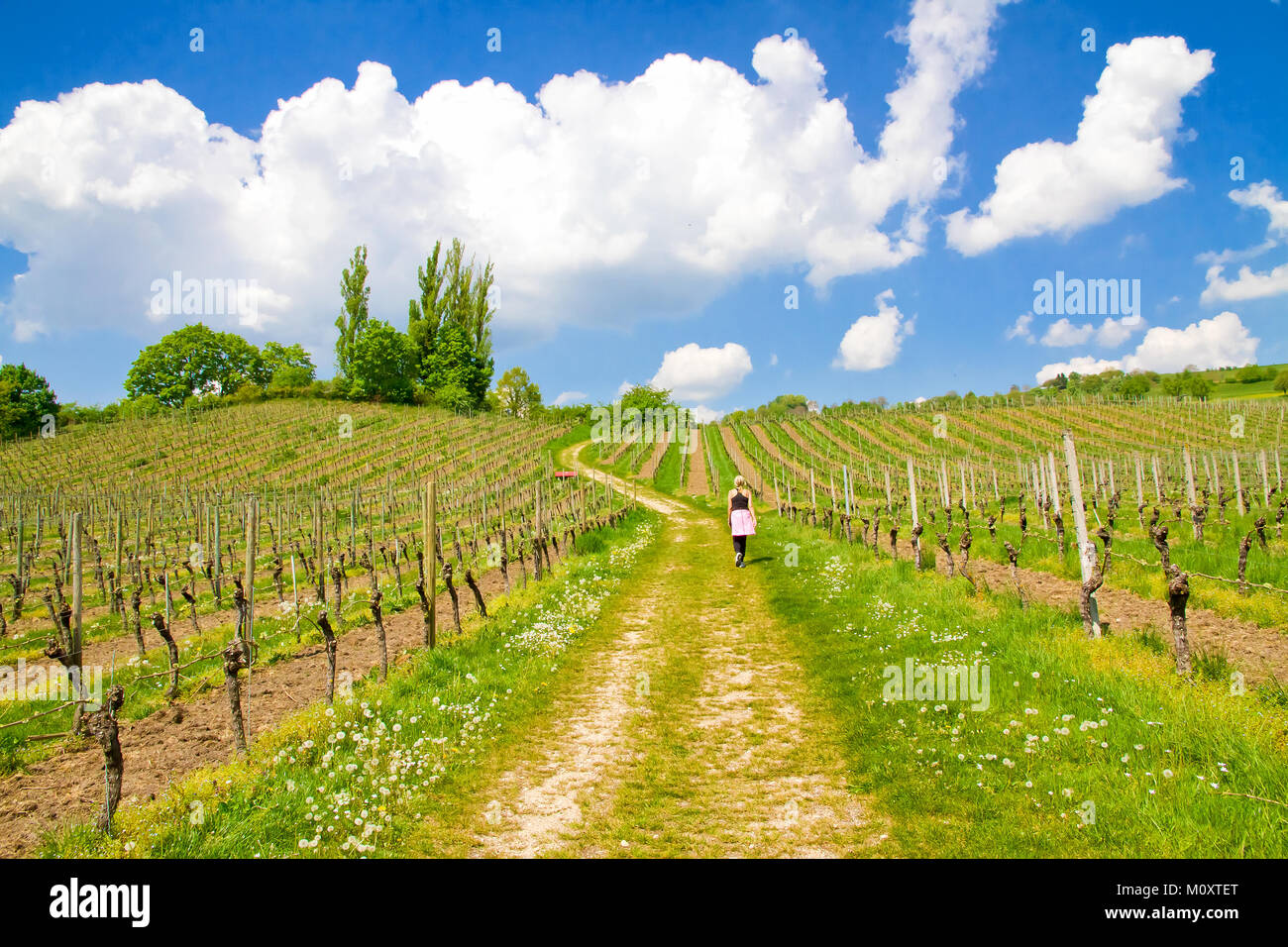 Way in springtime near lake constance - Bodensee, Germany Stock Photo