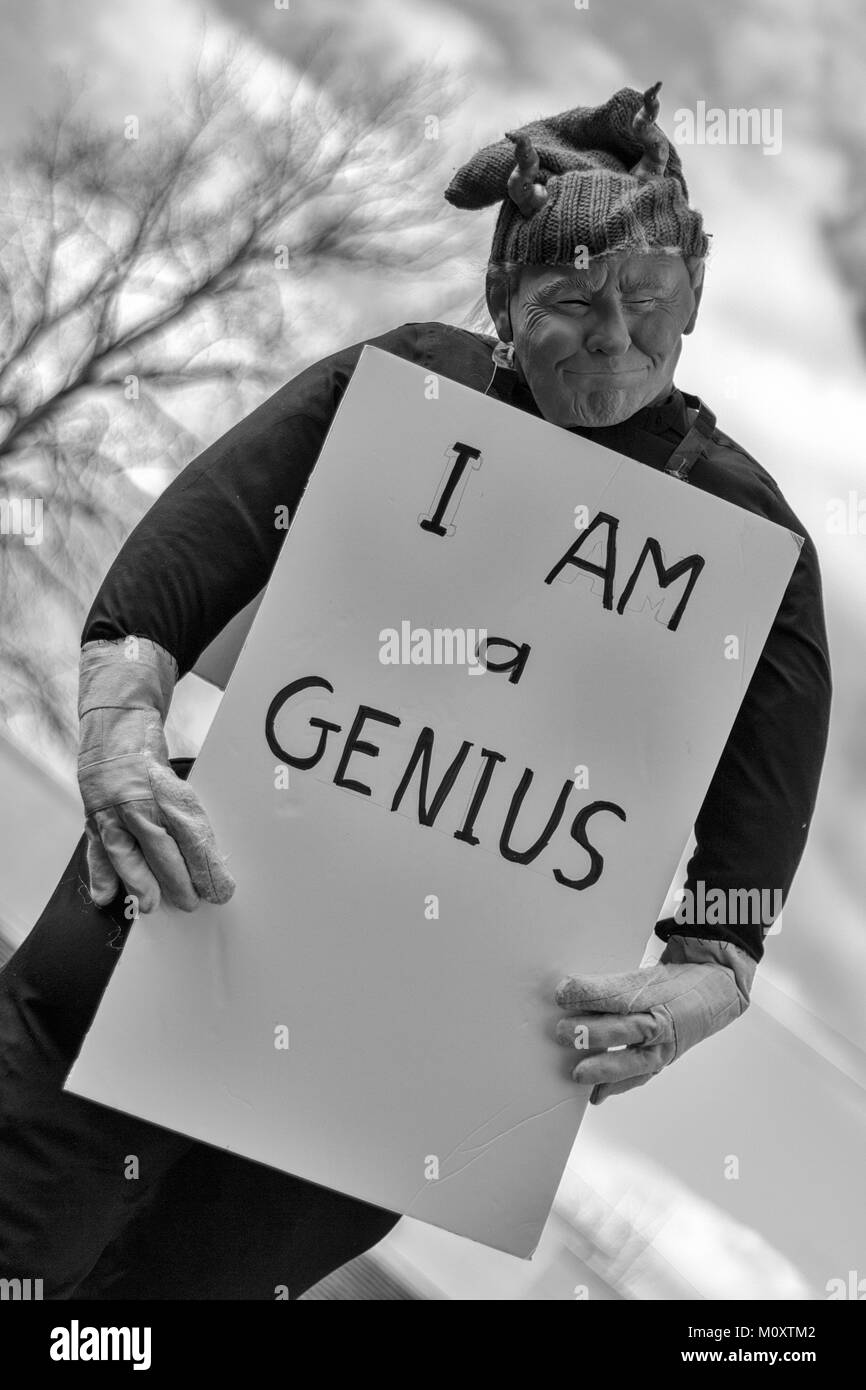 A life-sized puppet on a stake that resembles Donald Trump holds a sign that says 'I am a genius' at the Women's March 2018 in Asheville, NC, USA Stock Photo