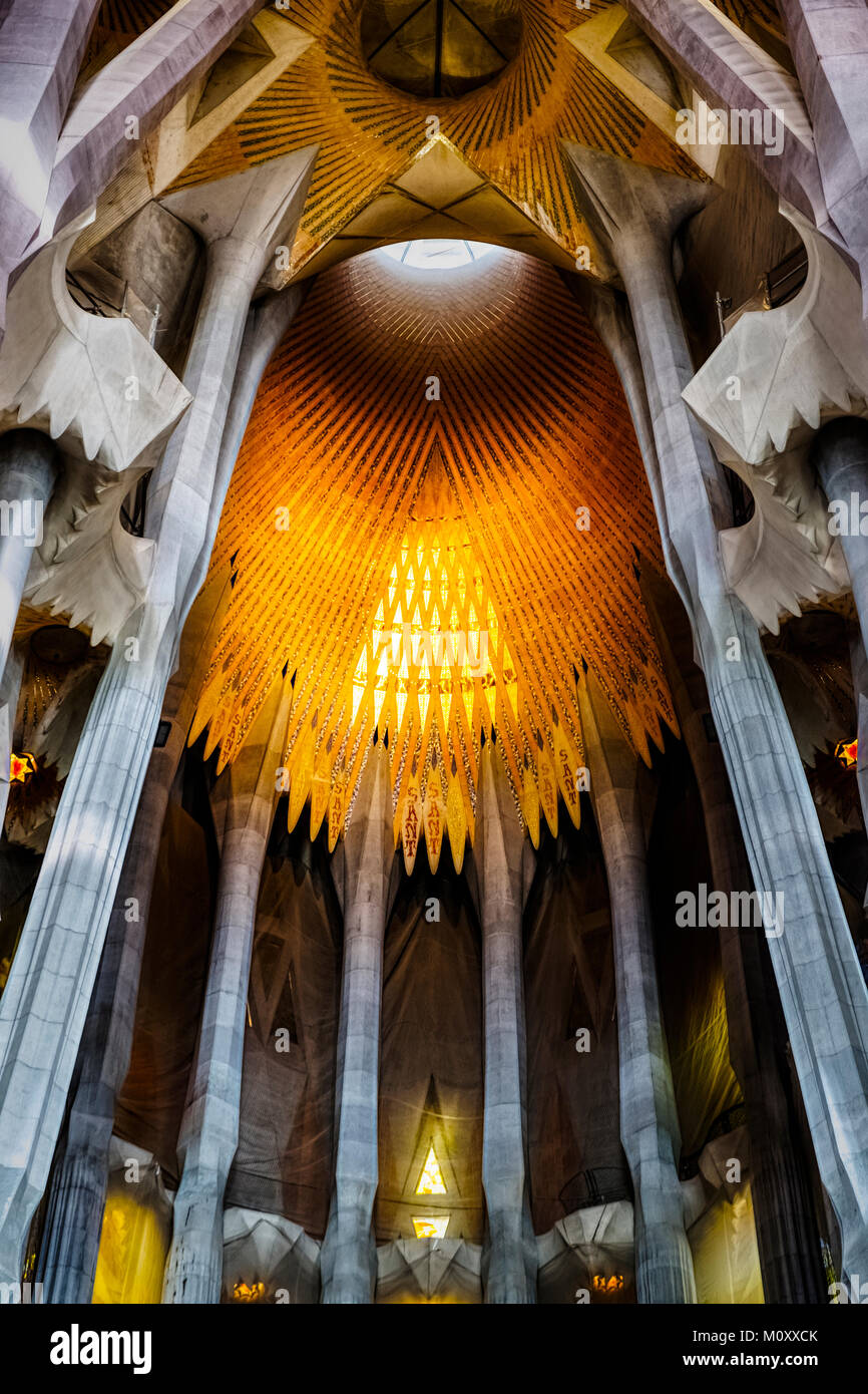 The interior of the stunning Sagrada Familia Basilica designed by Antoni Gaudi and located in Barcelona. Stock Photo