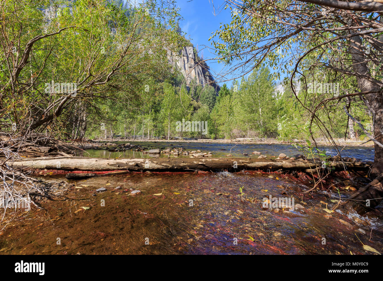 The beautiful merced river in Yosemite National Park, California, USA Stock Photo