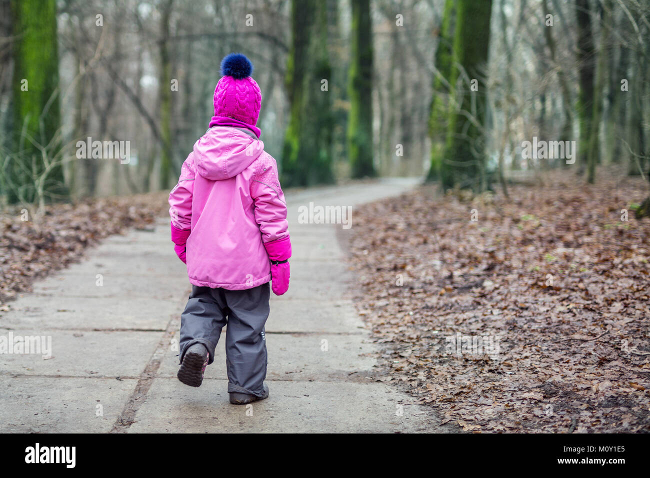 Little girl walking alone in a forest at autumn Stock Photo Alamy