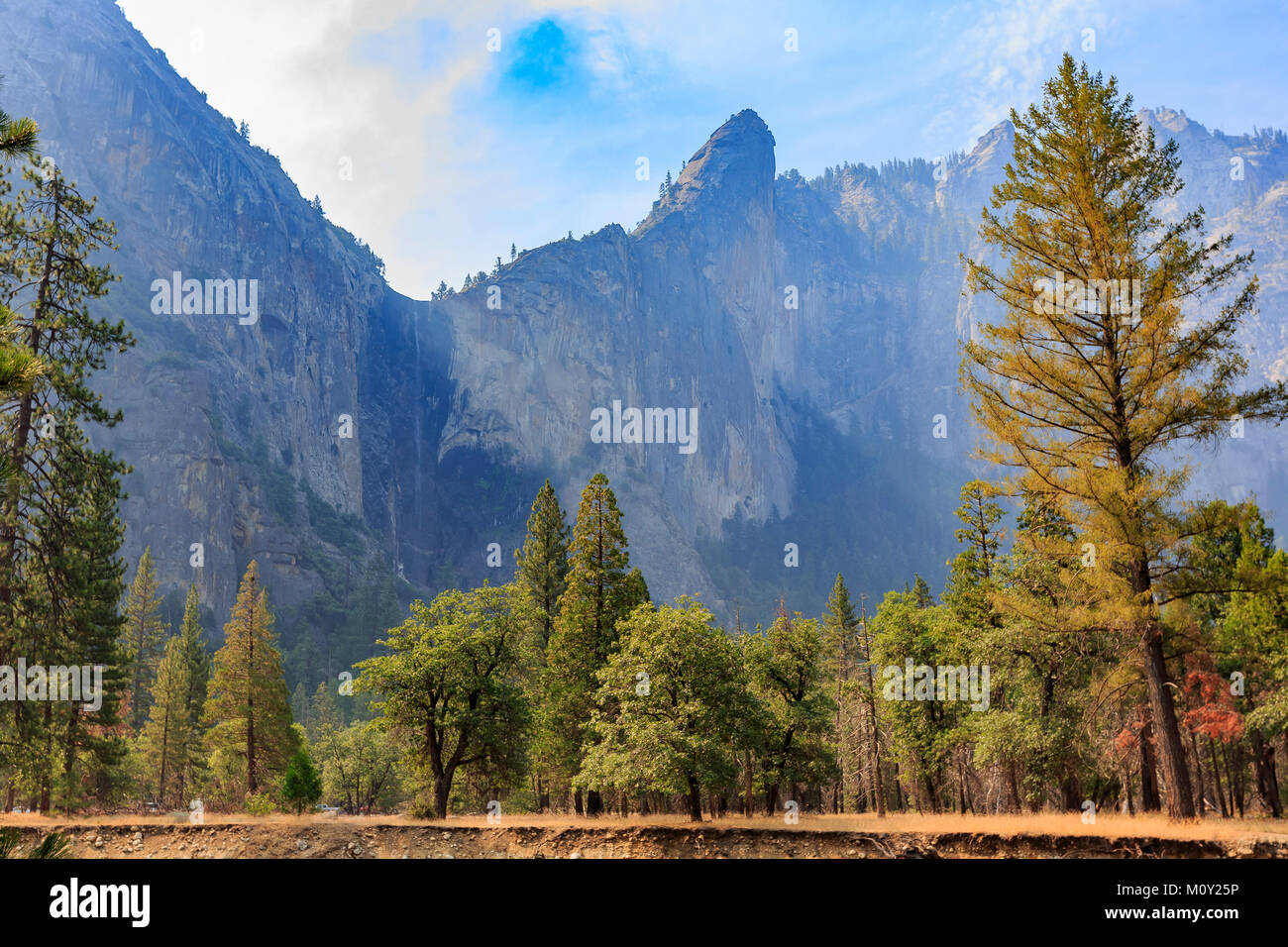 Morning view of the bridalveil fall with trees in Yosemite National Park, California Stock Photo