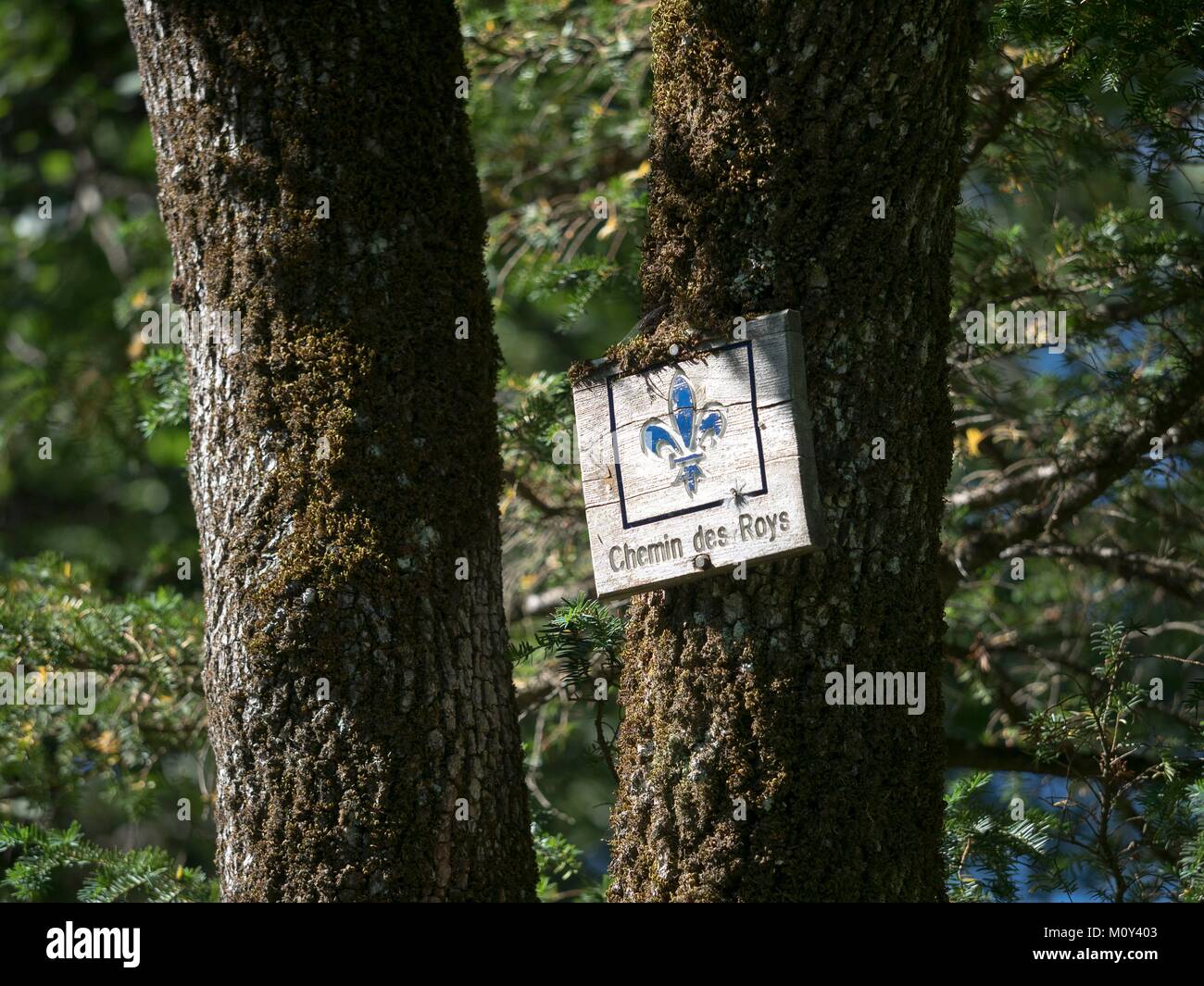 France,Var,Plan d'Aups Sainte Baume,massif de la Sainte Baume,grotte sanctuaire de Sainte Marie