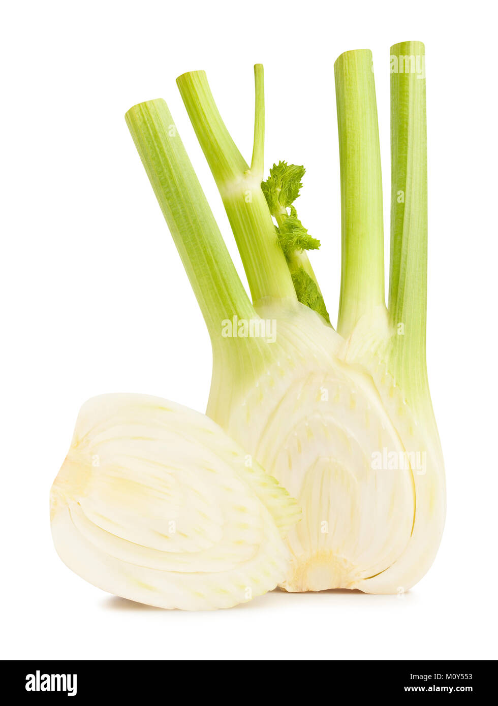 sliced fennel path isolated Stock Photo