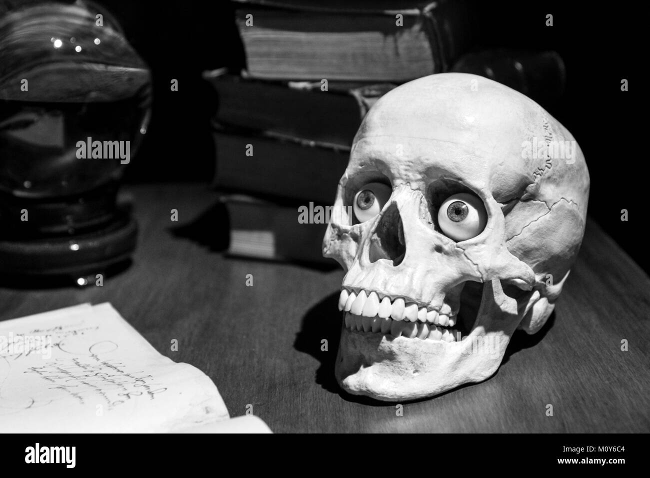 The model of the skull with realistic eyes standing on the old table among the old books and glass ball. Stock Photo