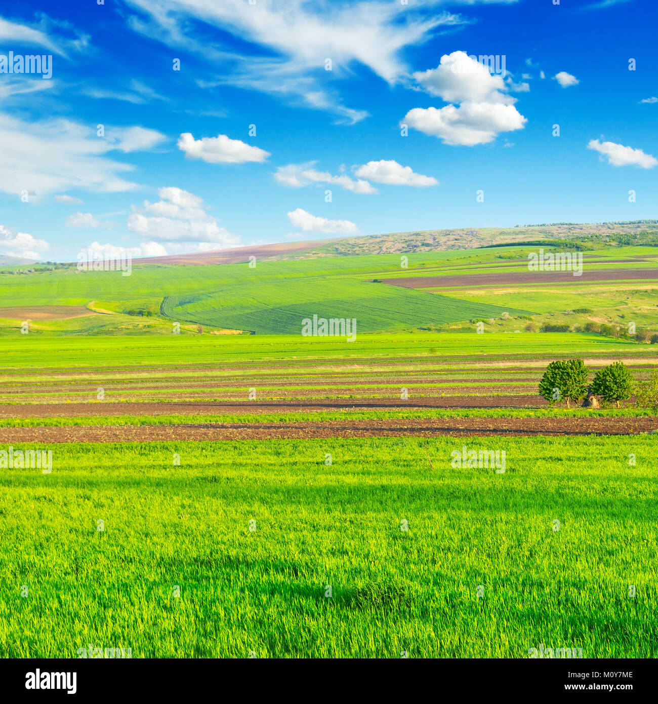 beautiful rural landscape and blue sky Stock Photo - Alamy