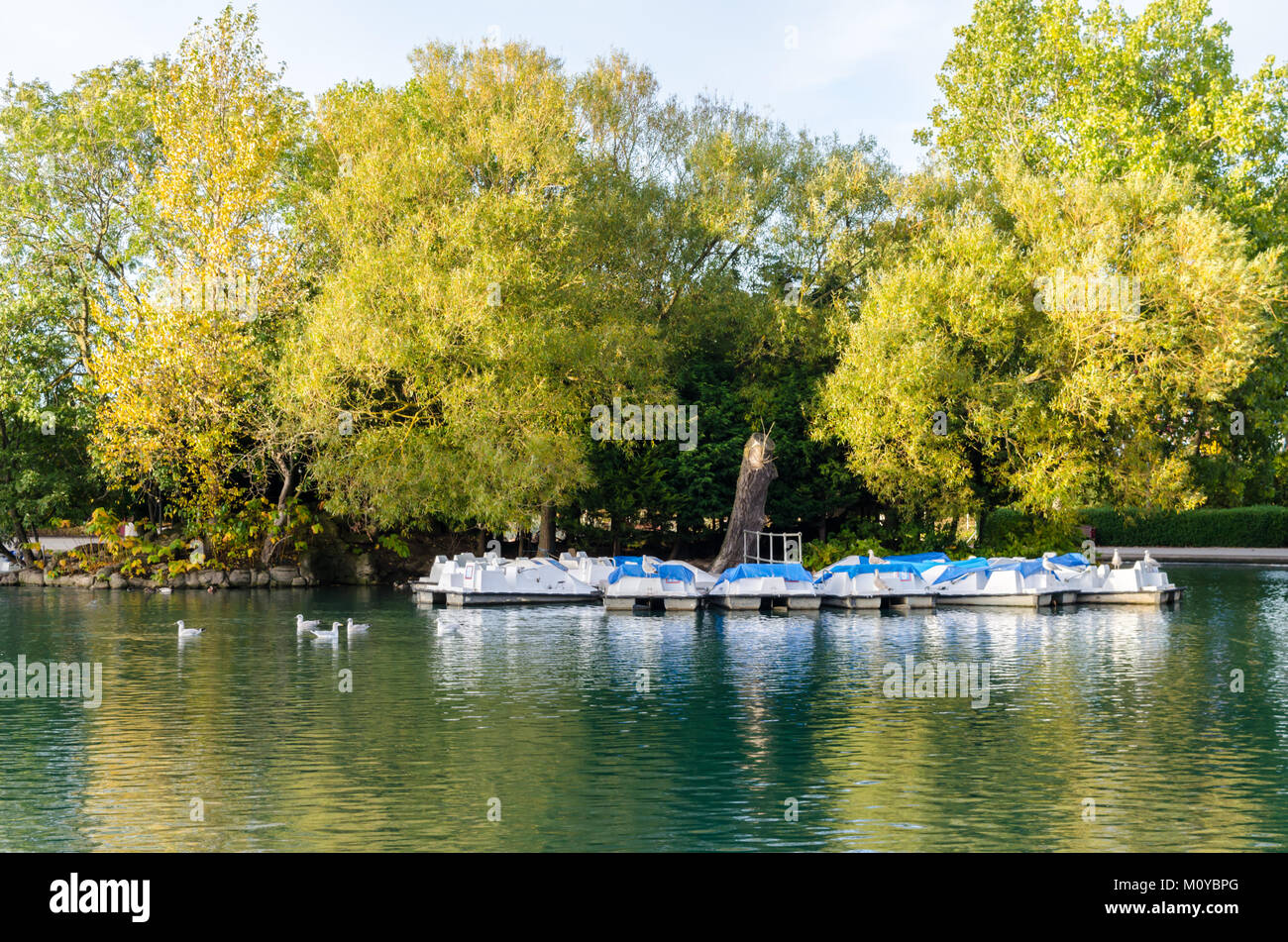 The Boating Lake in South Marine Park, South Tyneside. Stock Photo