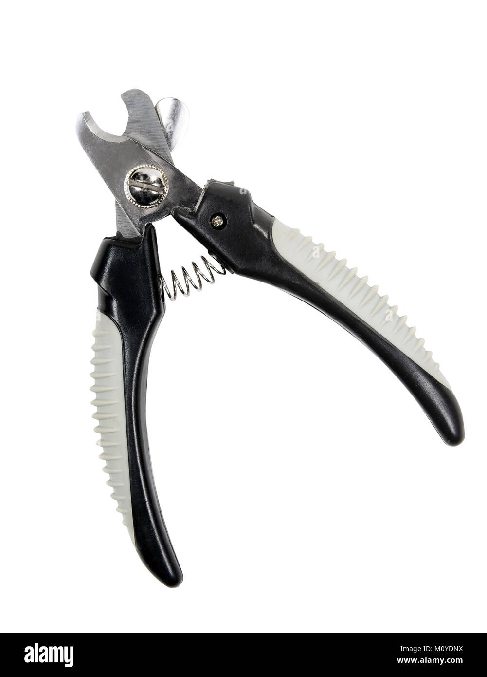 Professional pet grooming tools on white Stock Photo Alamy