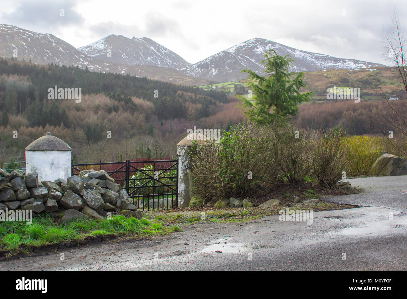 A view from a farm gate across on of the many snow topped hills and valleys of the Mourne Mountains on a dull midwinter afternoon Stock Photo