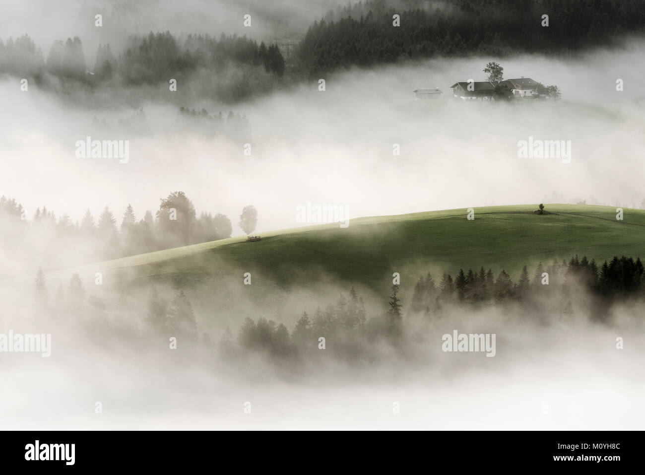 Mountain meadow with mountain farm and sea of fog,Wilder Kaiser,Scheffau,Tyrol,Austria Stock Photo