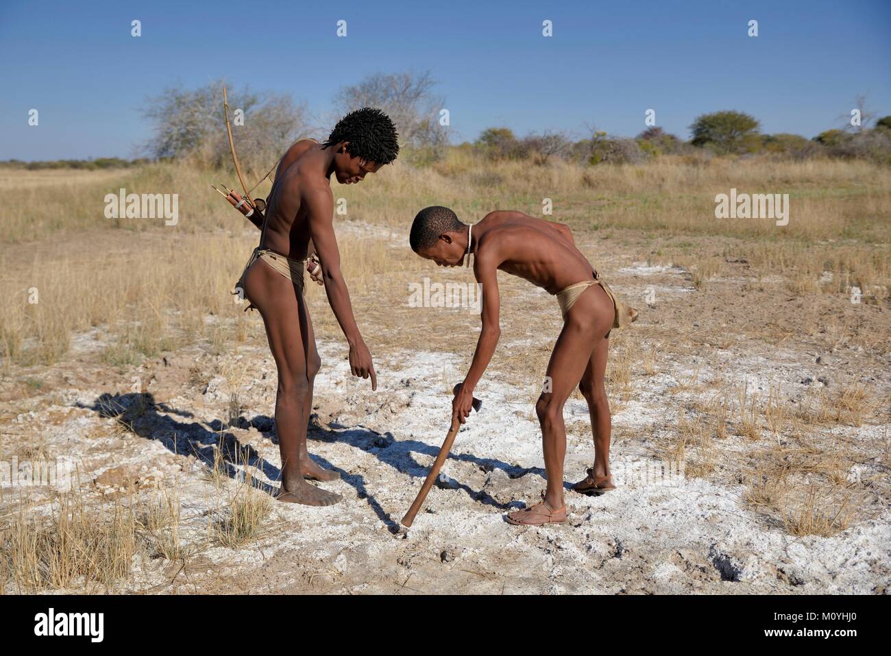 Bushmen of the Ju/' Hoansi-San hunting,read tracks,village //Xa/oba,near Tsumkwe,Otjozondjupa region,Namibia Stock Photo