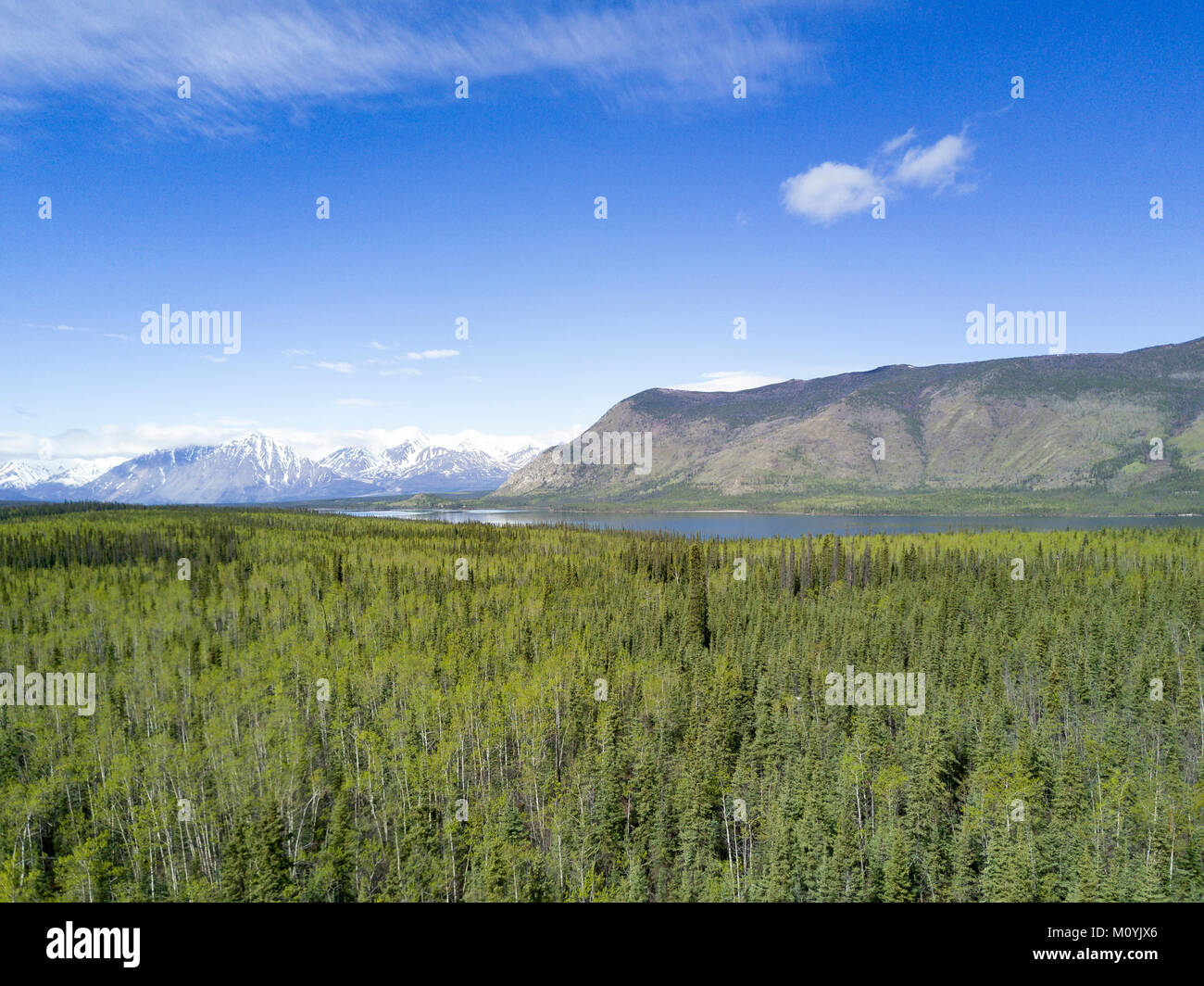 Scenic view of trees and river near mountain Stock Photo