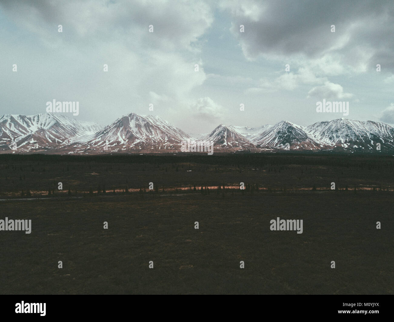 Field near snowy mountain range Stock Photo